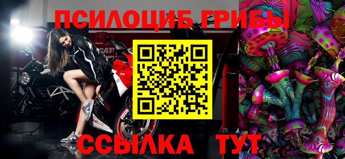 Псилоцибиновые грибы прущие грибы Валуйки