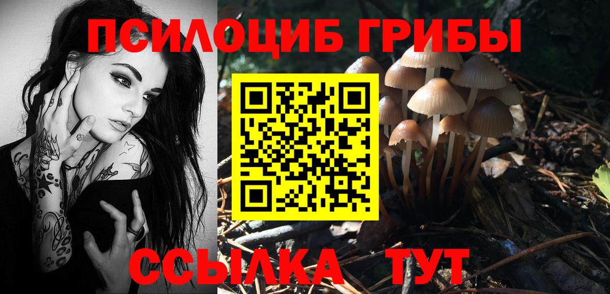 Валуйки  Псилоцибиновые грибы Cubensis  Псилоцибиновые грибы Magic Shrooms  Вход с VPN 